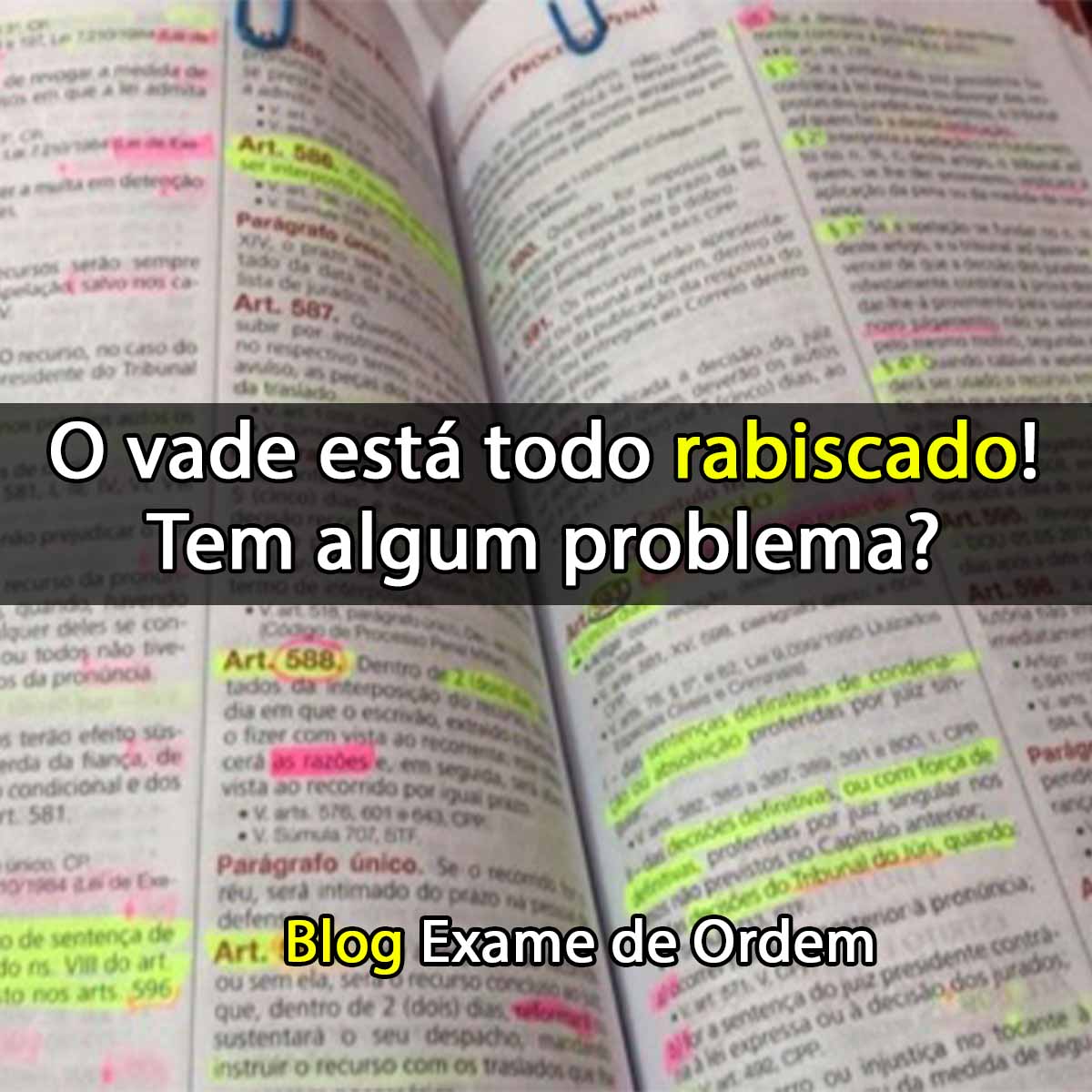 O vade est todo rabiscado! Tem algum problema?