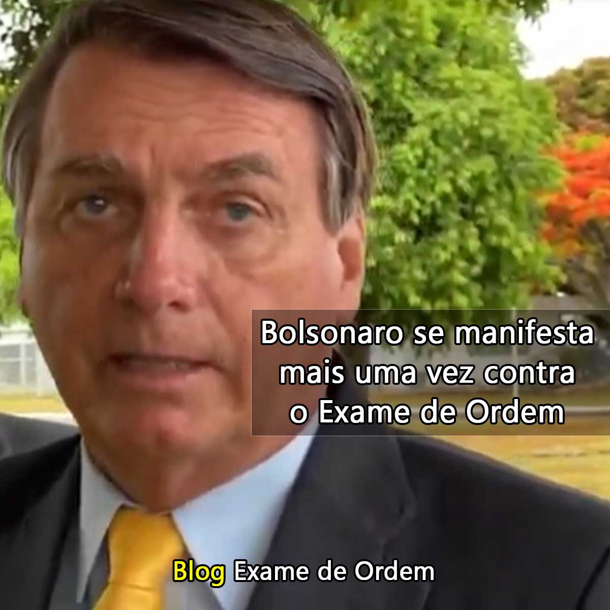 Bolsonaro se manifesta mais uma vez contra o Exame de Ordem