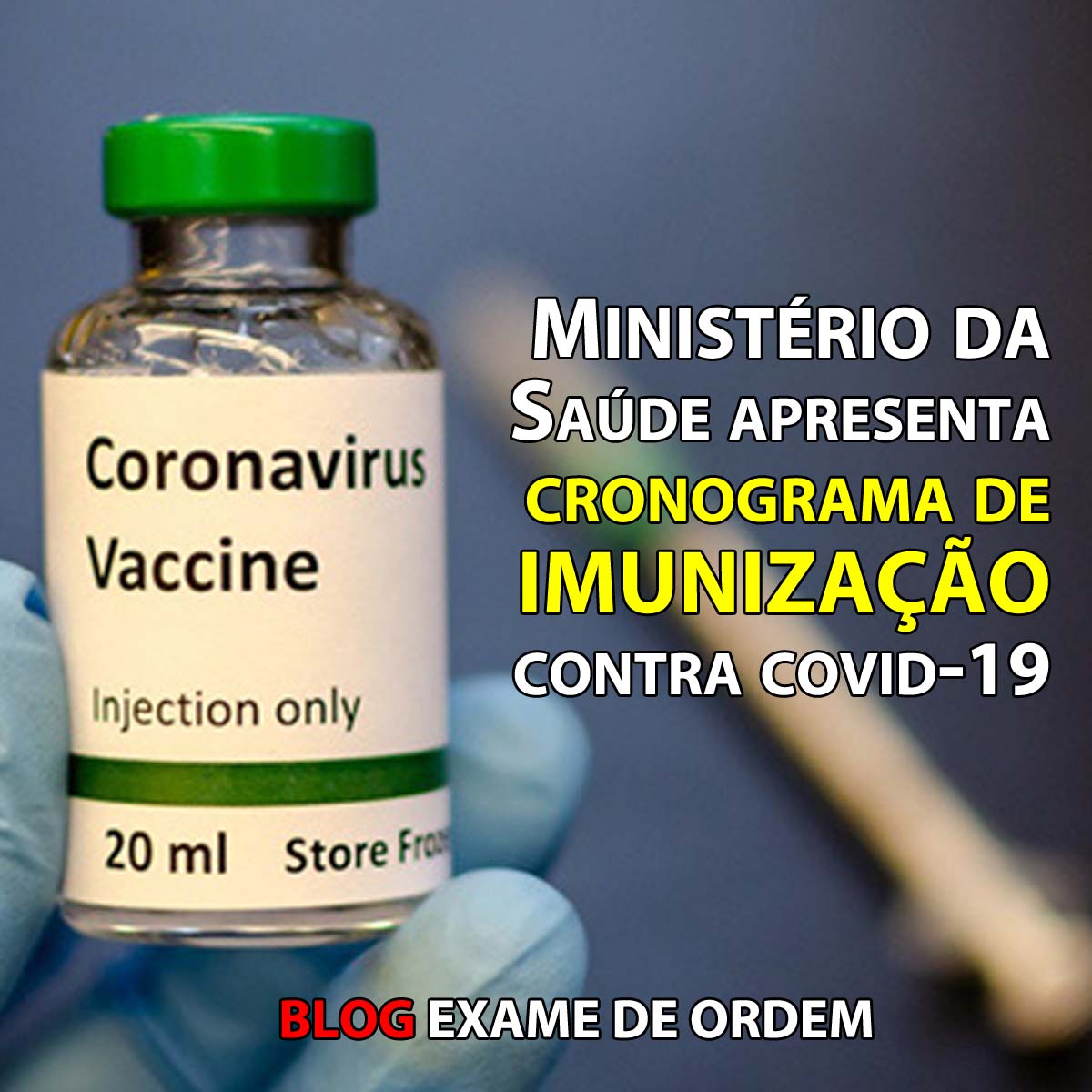 Ministrio da Sade apresenta cronograma de imunizao contra covid-19