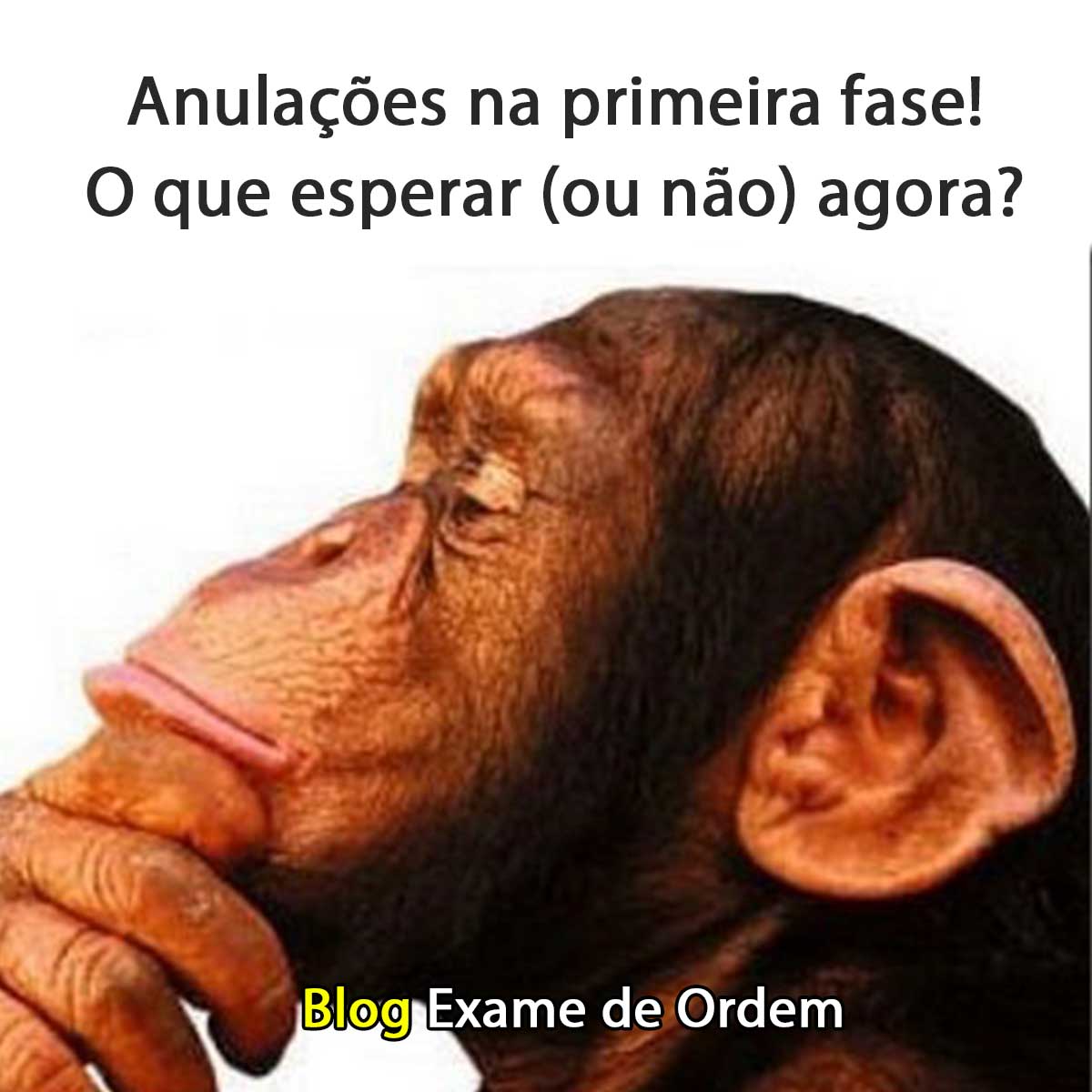 Anulaes na primeira fase! O que esperar (ou no) agora?