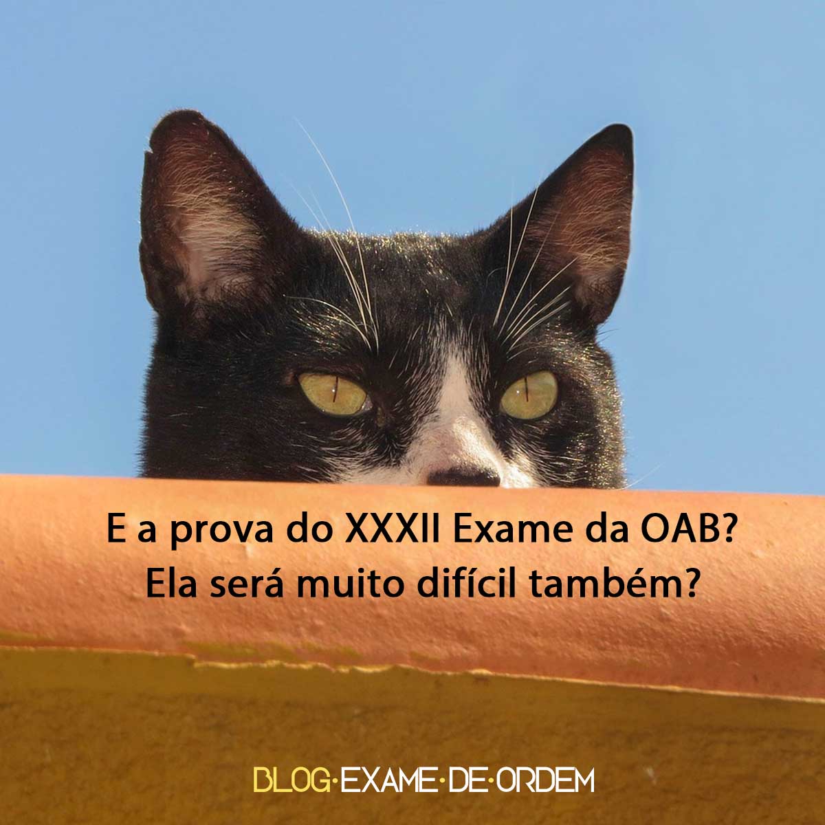 E a prova do XXXII Exame da OAB? Ela ser muito difcil tambm?