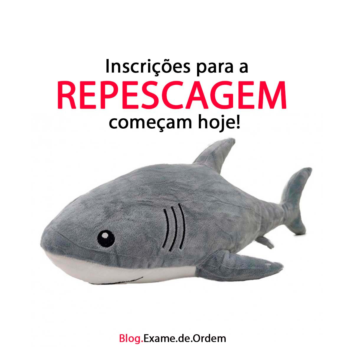 Inscries para repescagem comeam hoje!