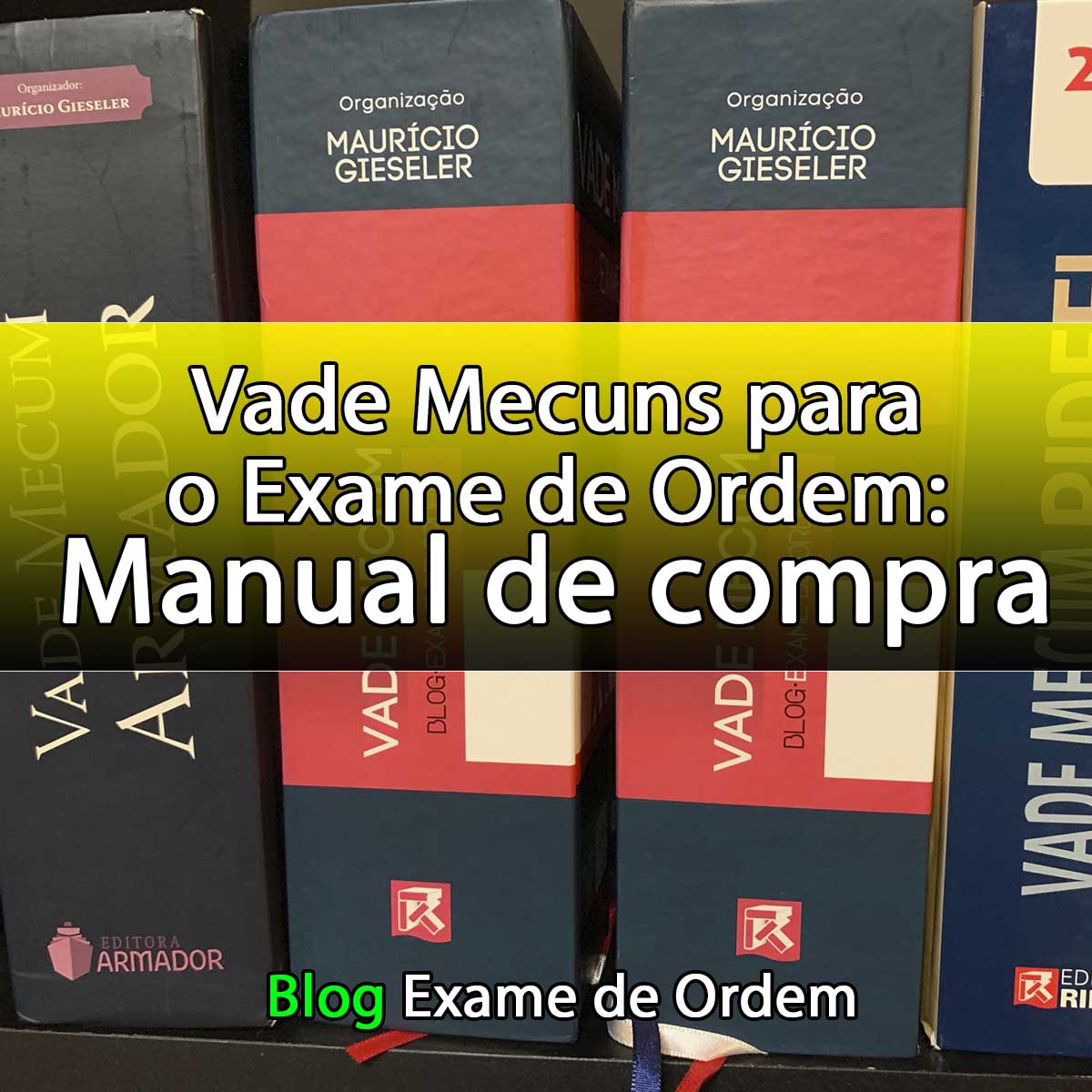 Vade Mecuns para o Exame de Ordem: Manual de compra