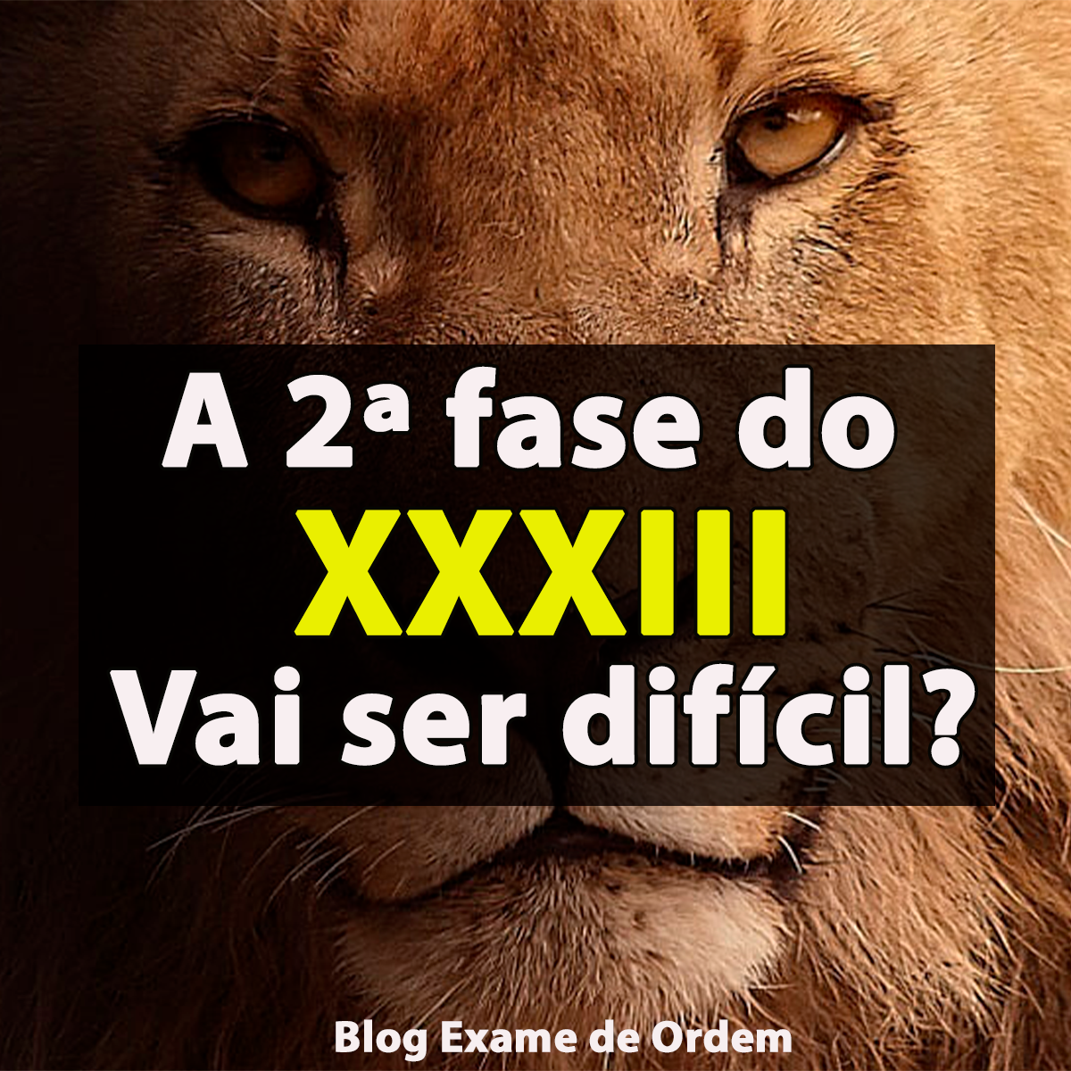 A 2 fase do XXXIII vai ser difcil?