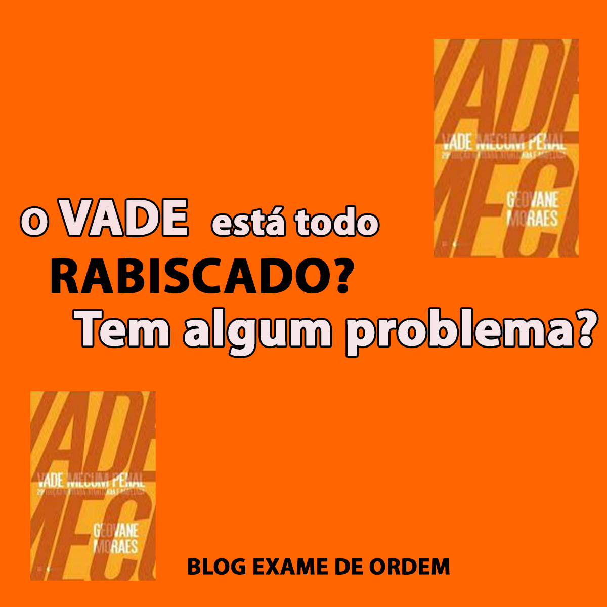 O vade est todo rabiscado! Tem algum problema?