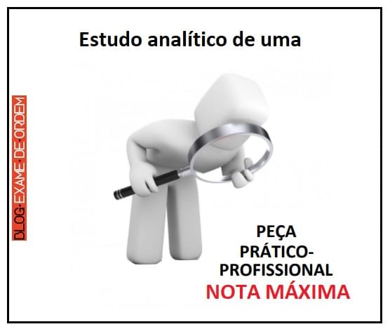 Estudo analtico de uma pea prtico-profissional nota mxima