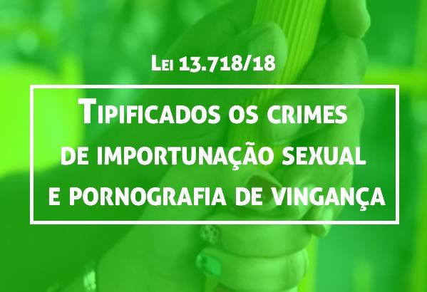 Tipificados os crimes de importunao sexual e pornografia de vingana
