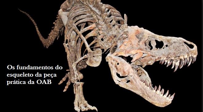 Os fundamentos do esqueleto da pea prtica da OAB